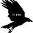 20Birds