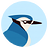 astronyu
